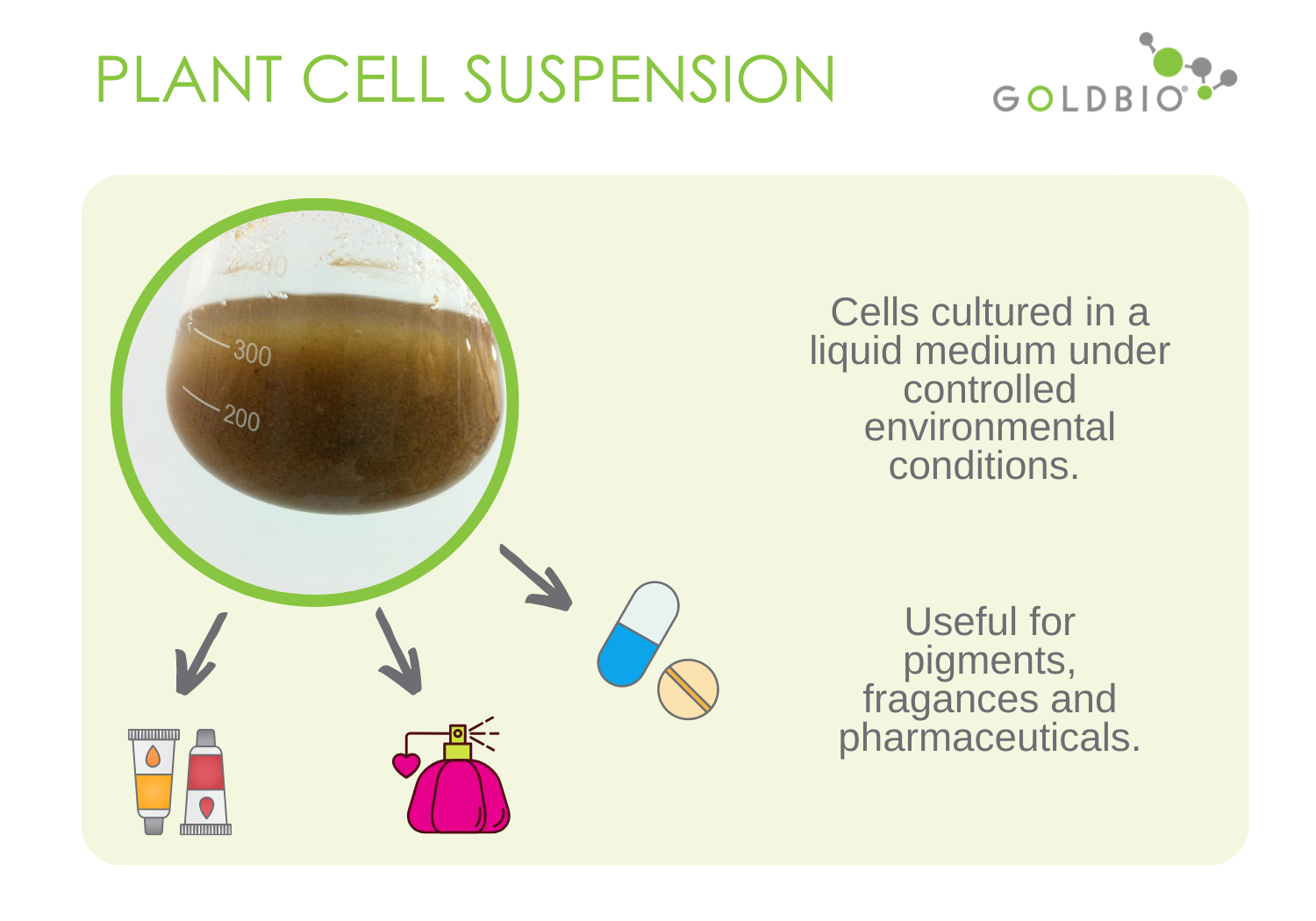All About Plant Cell Suspension Cultures What Is It and How to